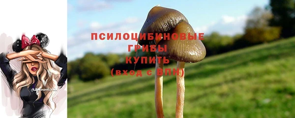 меф Богородск