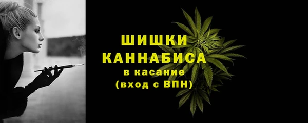 гашик Богородицк