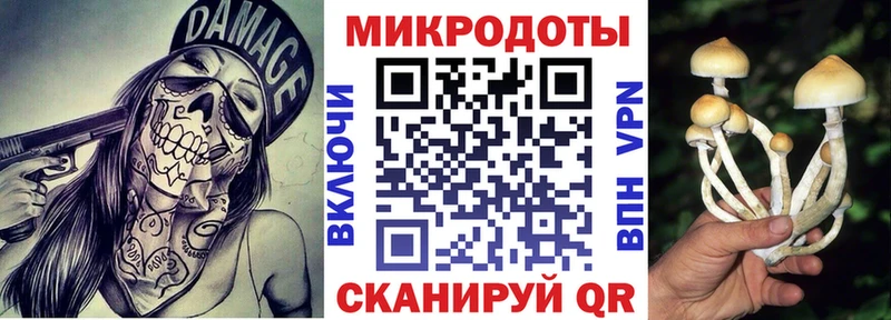 Псилоцибиновые грибы MAGIC MUSHROOMS  Михайлов 